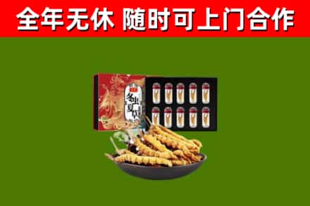 桃城区烟酒回收冬虫夏草礼盒.jpg